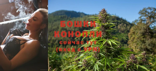 PSILOCYBIN Дмитриев