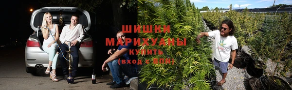а пвп мука Дмитровск