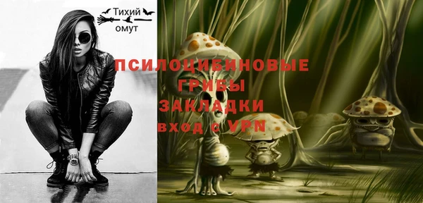 PSILOCYBIN Дмитриев
