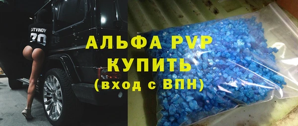 PSILOCYBIN Дмитриев