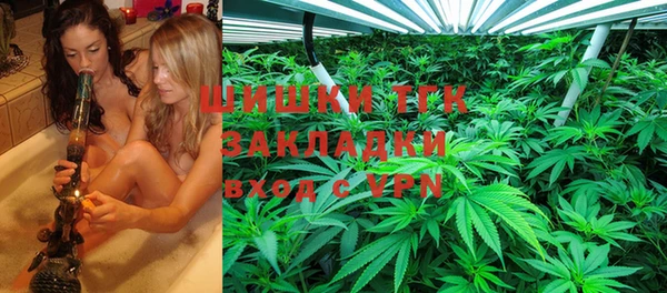 PSILOCYBIN Дмитриев